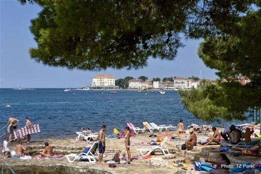 Apartment Maria Poreč Dış mekan fotoğraf